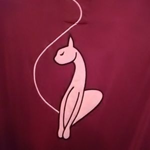 Baby Phat light weight burgundy red jacket small